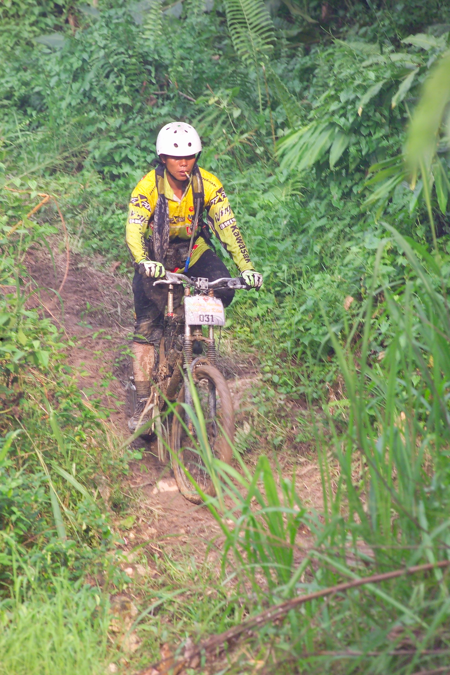 PTPM 06 31 kilau D9X44243